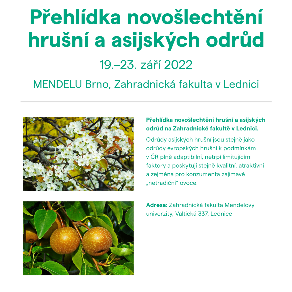 Přehlídka novošlechtění hrušní  a asijských odrůd – MENDELU Brno